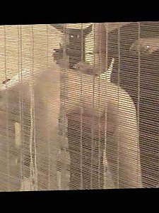 Desirable mature showcasing her big ass before fucking